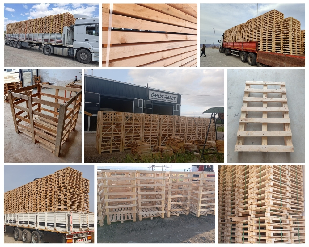 Schagen Houten Kisten, Europallets Groothandel Kopen